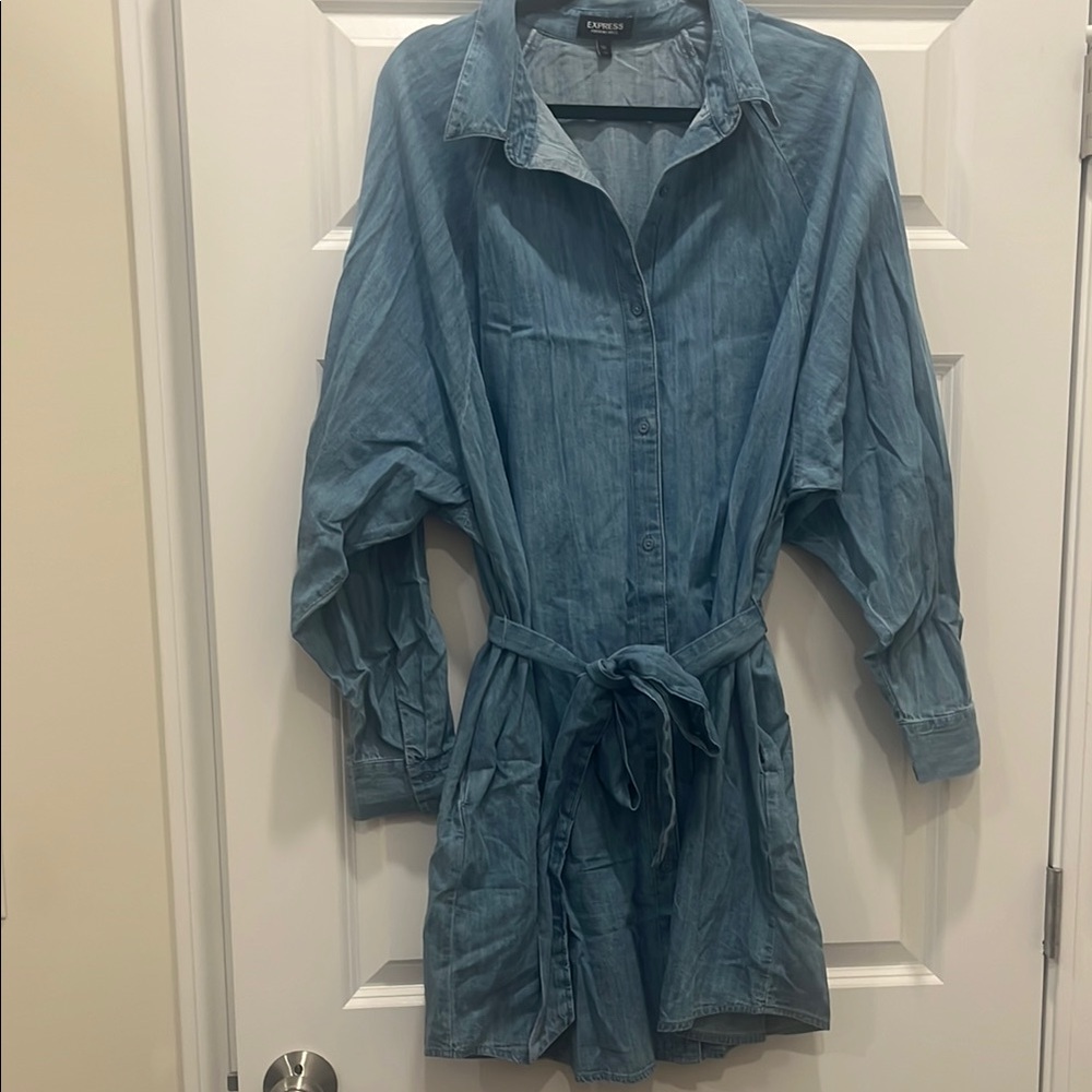 Express Portifino Denim Shirt Dress